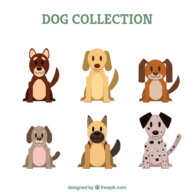 Several dogs in flat design