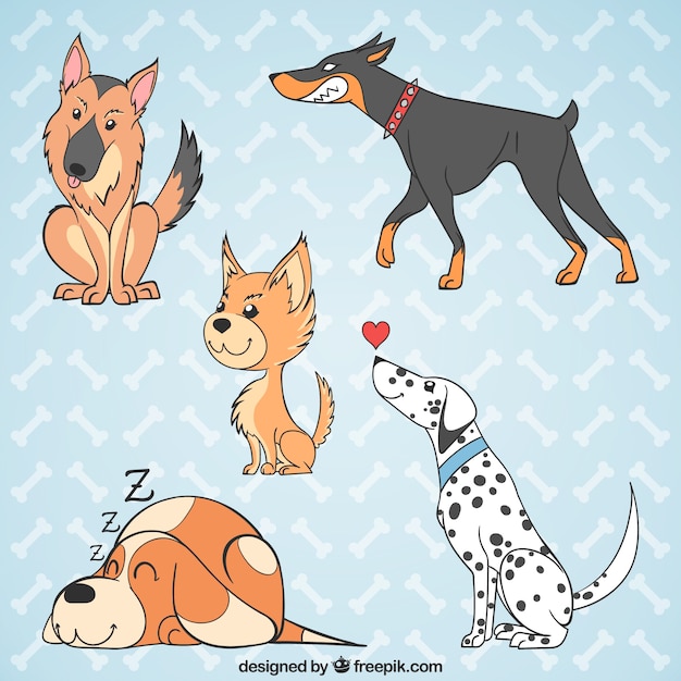 Several hand-drawn dogs