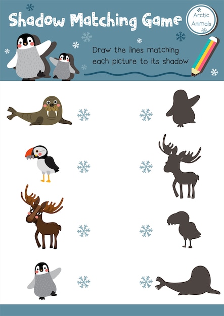 Shadow matching game arctic animal Premium Vector Shadow matching game arctic animal Premium Vector