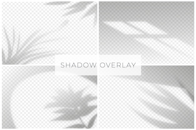 Download Free Shadow Overlay Effect With Transparent Background Free Vector Use our free logo maker to create a logo and build your brand. Put your logo on business cards, promotional products, or your website for brand visibility.