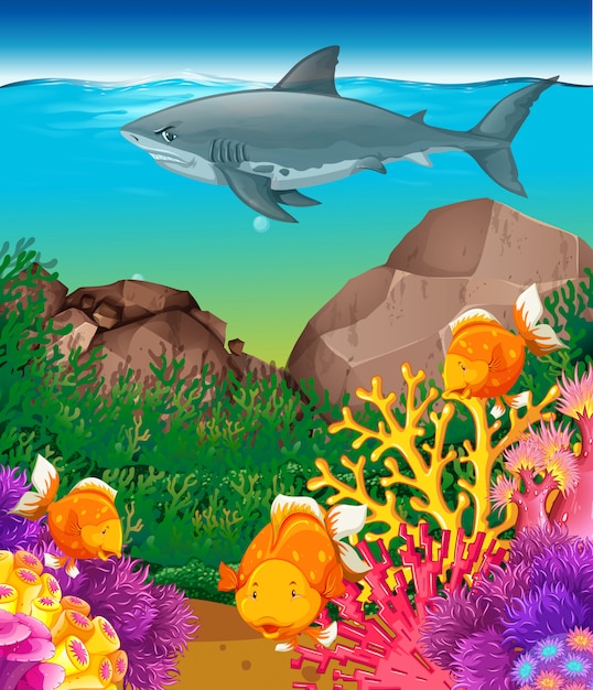 Download Shark and fish swimming in the sea Vector | Free Download