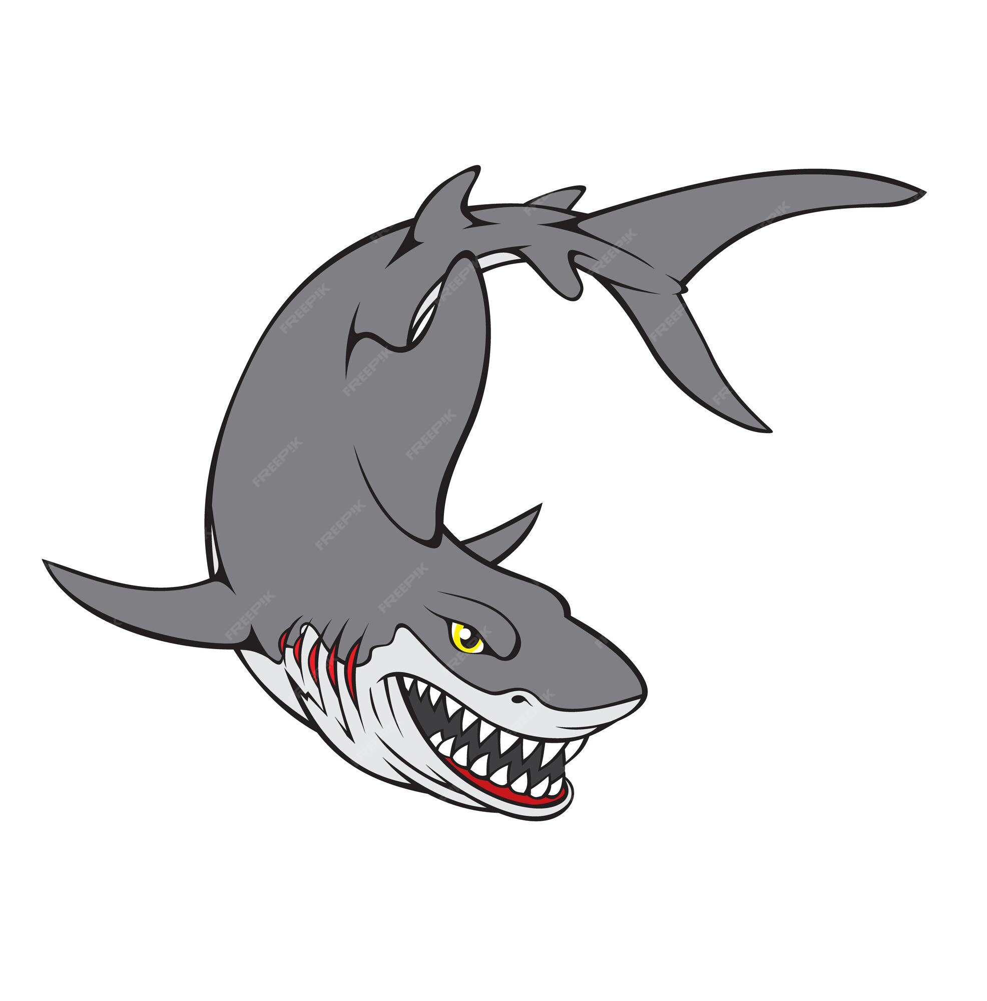 Premium Vector | Shark.