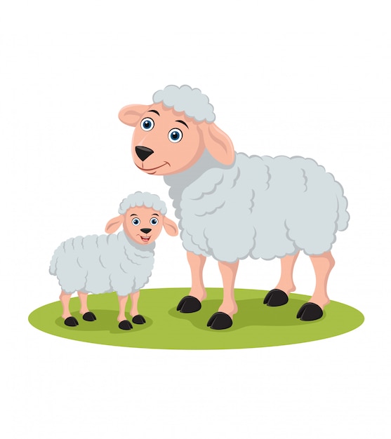 Sheep and lamb illustration | Premium Vector