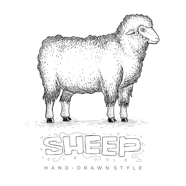 羊立っている背の高い側面図 手描きの動物のイラスト プレミアムベクター