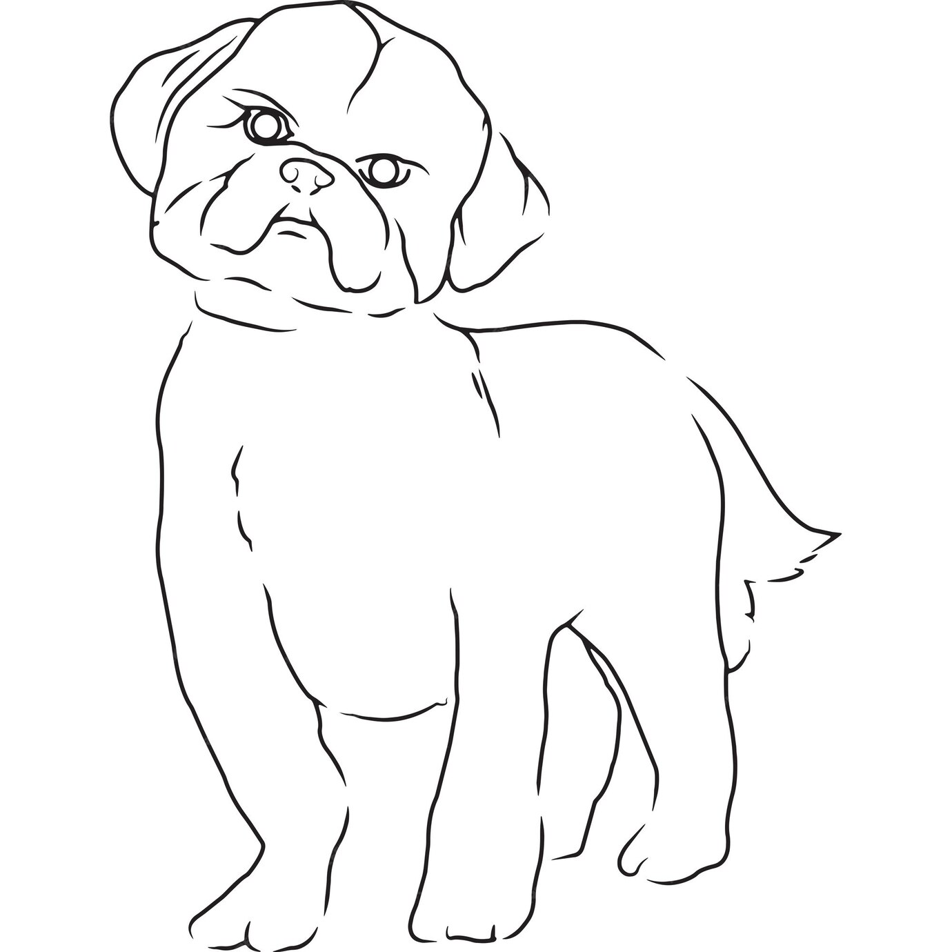 Premium Vector | Shih tzu dog hand sketched vector drawing