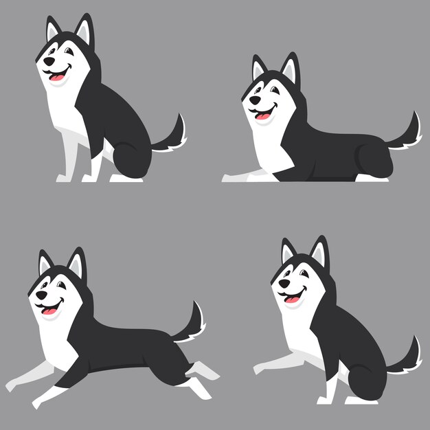 Download Siberian husky in different poses. beautiful dog in ...