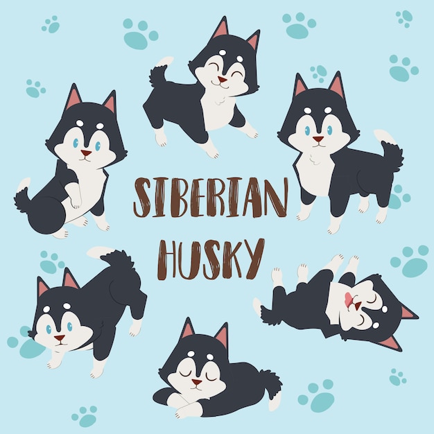 Download Siberian husky dog, cute character siberian husky, puppy ...