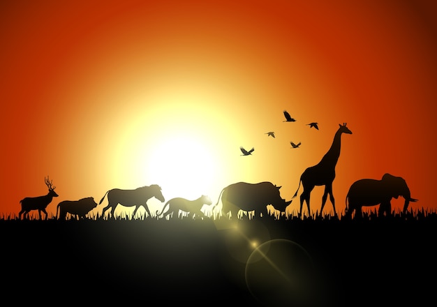 Premium Vector | Silhouette animals on savannas