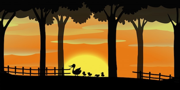 Silhouette background with ducks on the farm Free Vector Silhouette background with ducks on the farm Free Vector