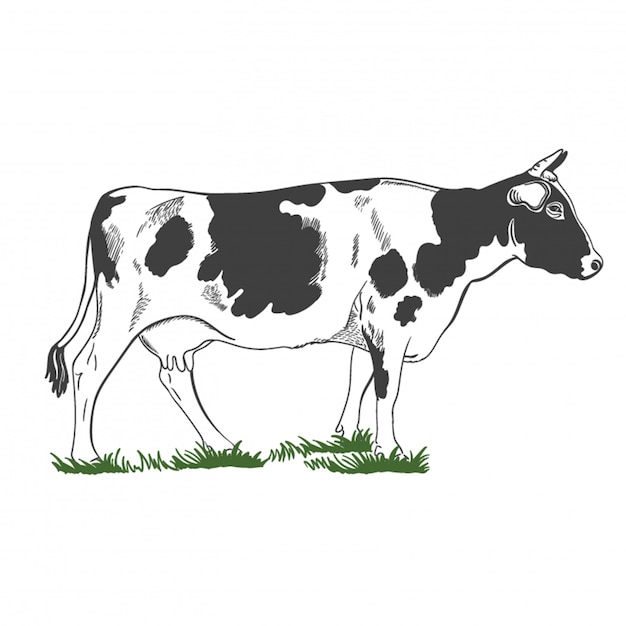 シルエット 緑の草 イラストに立っている角を持つ牛の図 プレミアムベクター