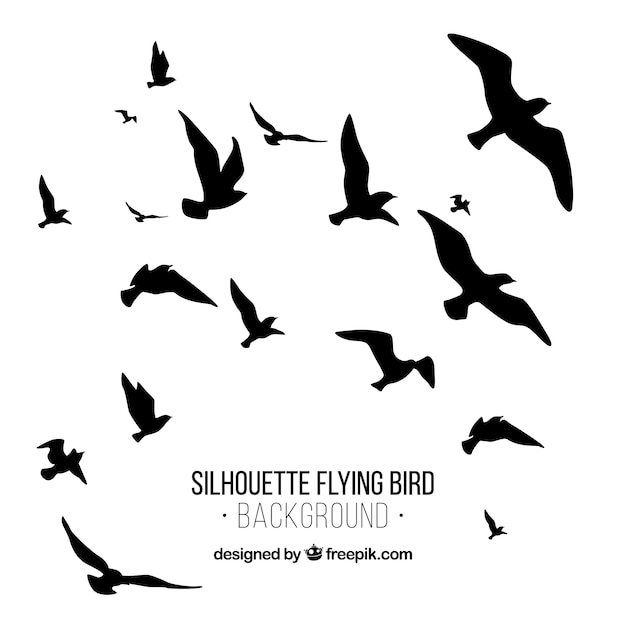 Silhouette flying bird background