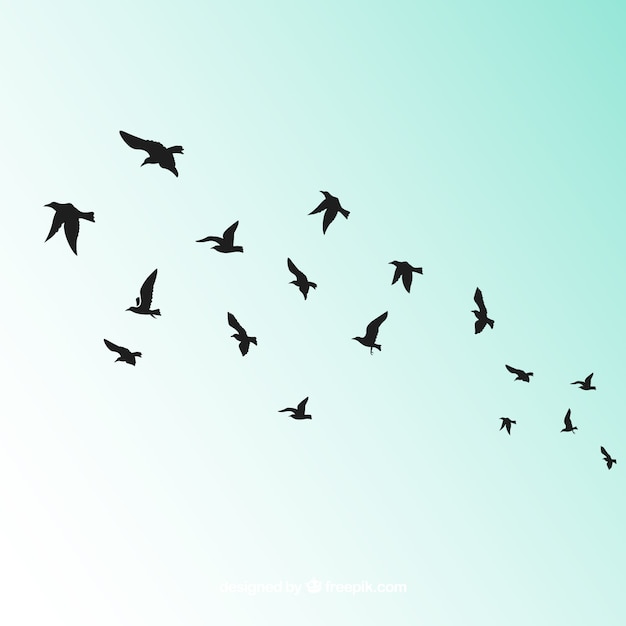 Silhouette flying bird background Free Vector