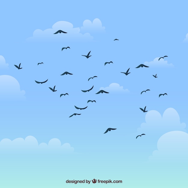 Silhouette flying bird background