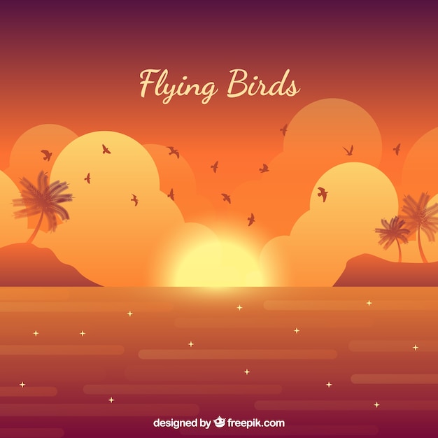 Silhouette flying bird background