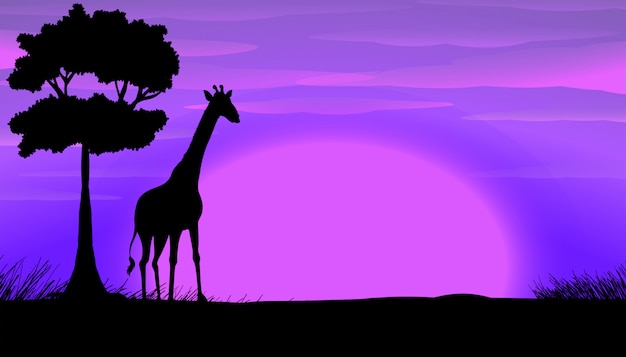 Download Premium Vector | Silhouette of giraffe in safari