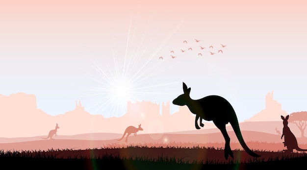 Premium Vector | Silhouette kangaroo in the evening