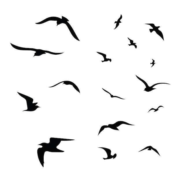 鳥の群れのシルエット 飛ぶ鳥の黒い輪郭 空飛ぶ鳩 プレミアムベクター