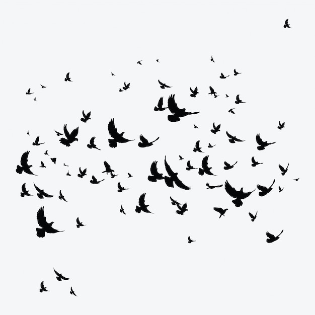 鳥の群れのシルエット 飛んでいる鳥の黒い輪郭 飛ぶハト プレミアムベクター