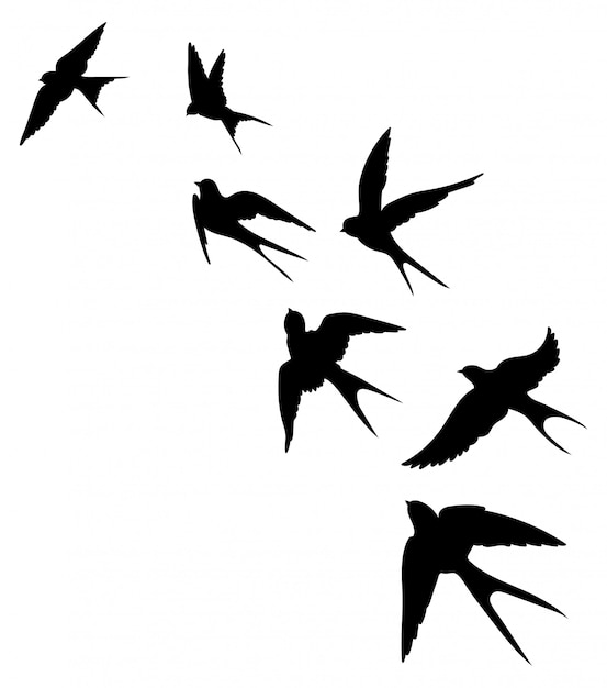 ツバメの群れのシルエット 飛んでいる鳥の黒い輪郭 空飛ぶツバメ プレミアムベクター