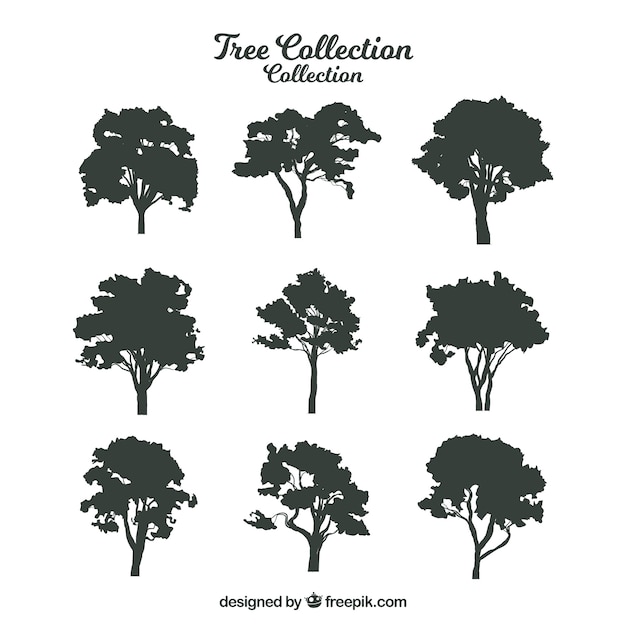 Tree Silhouette Vectors, Photos and PSD files | Free Download