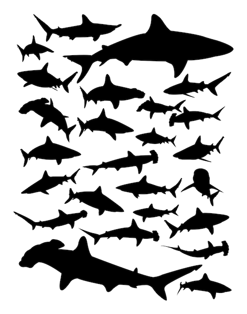 Free Free 105 Shark Svg Silhouette SVG PNG EPS DXF File