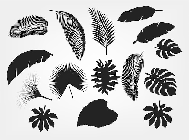 Download Silhouette tropical leaves set isolated Vector | Premium ...