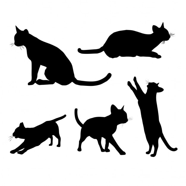 Free Vector | Silhouettes of a cat