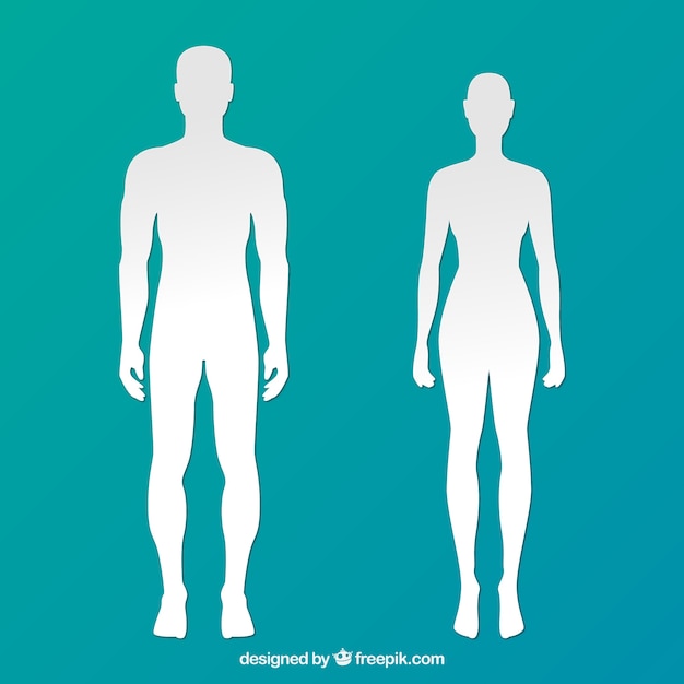 Download Body Images | Free Vectors, Stock Photos & PSD