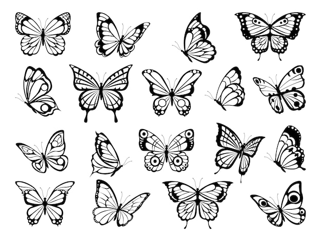 蝶のシルエット 面白い蝶の黒い写真 プレミアムベクター