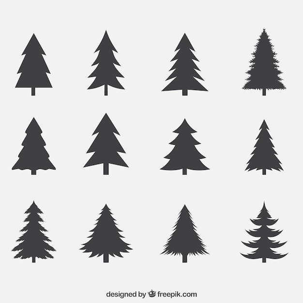 Pine Vectors, Photos and PSD files | Free Download