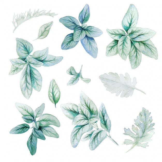 Download Silver flora, leaves, watercolor bright greenery | Premium ...