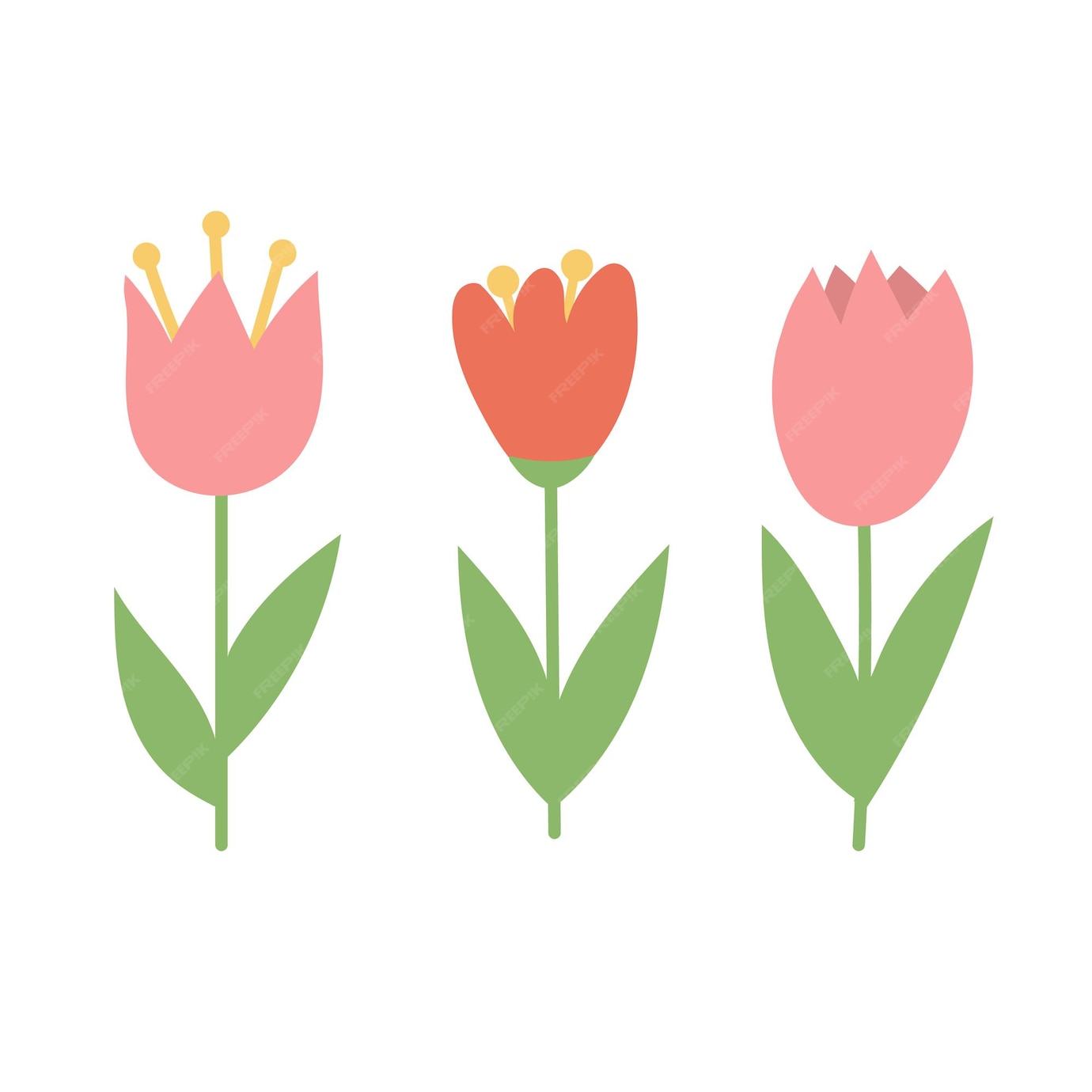 Premium Vector | Simple cartoon icons on white background tulip blooms ...