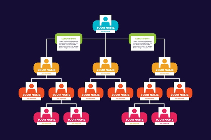 Premium Vector | Simple flat organization chart infographic template