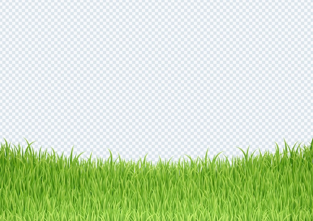 Download Simple green grass bottom edge border background | Premium ...