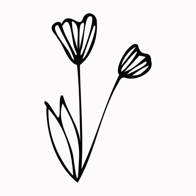 Premium Vector | Single hand drawn flower . doodle vector illustration ...