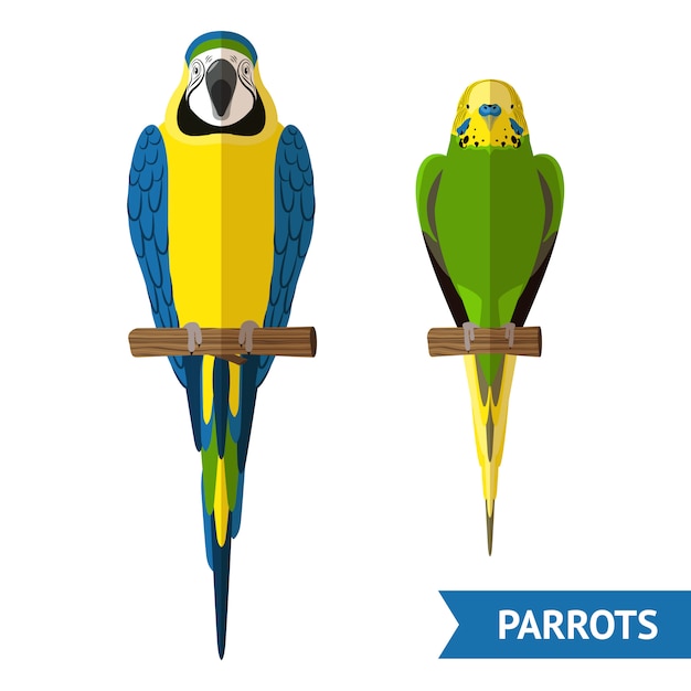 Sitting Parrots Set
