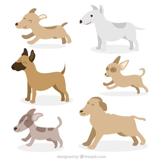 Six profile dogs in flat design