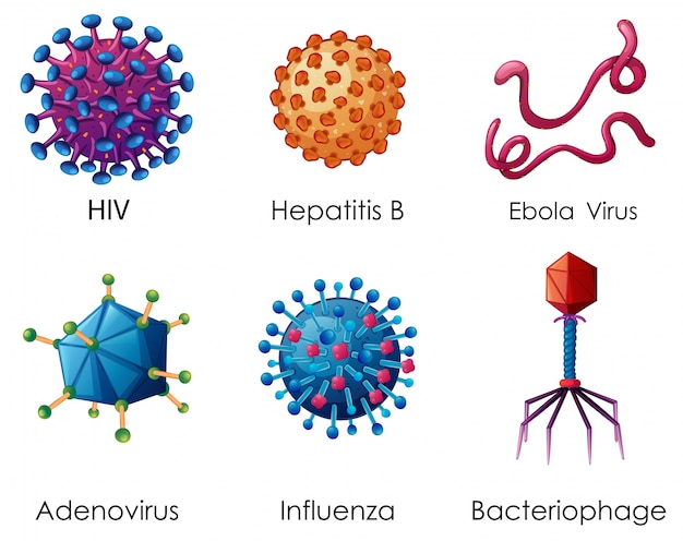 Virus Vectors, Photos and PSD files | Free Download