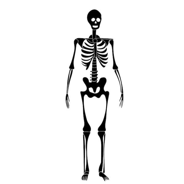 Premium Vector | Skeleton silhouette on white background vector