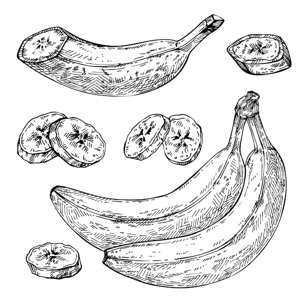 Premium Vector | Sketch banana isolated hand drawn bunch sliced banana ...
