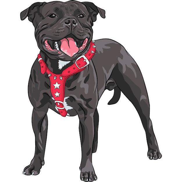 Free Free 251 Staffordshire Bull Terrier Svg SVG PNG EPS DXF File