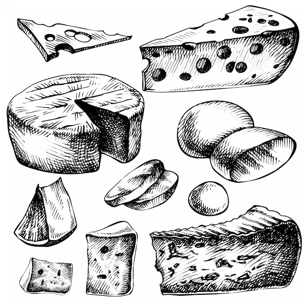 スケッチチーズセット 手描きのチーズの種類のインクイラスト 白で隔離 プレミアムベクター