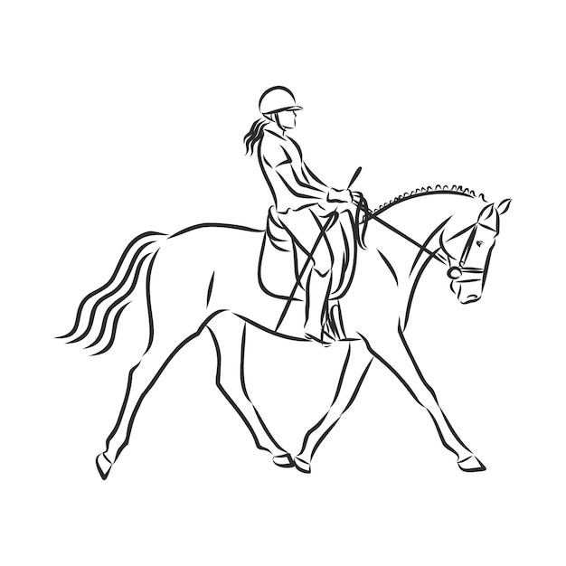 Premium Vector | A sketch of a dressage rider on a horse executing the ...