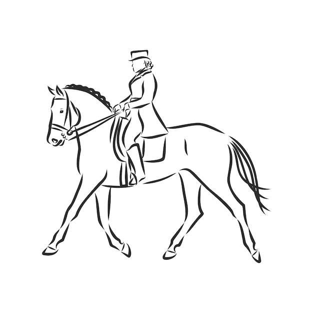 Premium Vector | A sketch of a dressage rider on a horse executing the ...