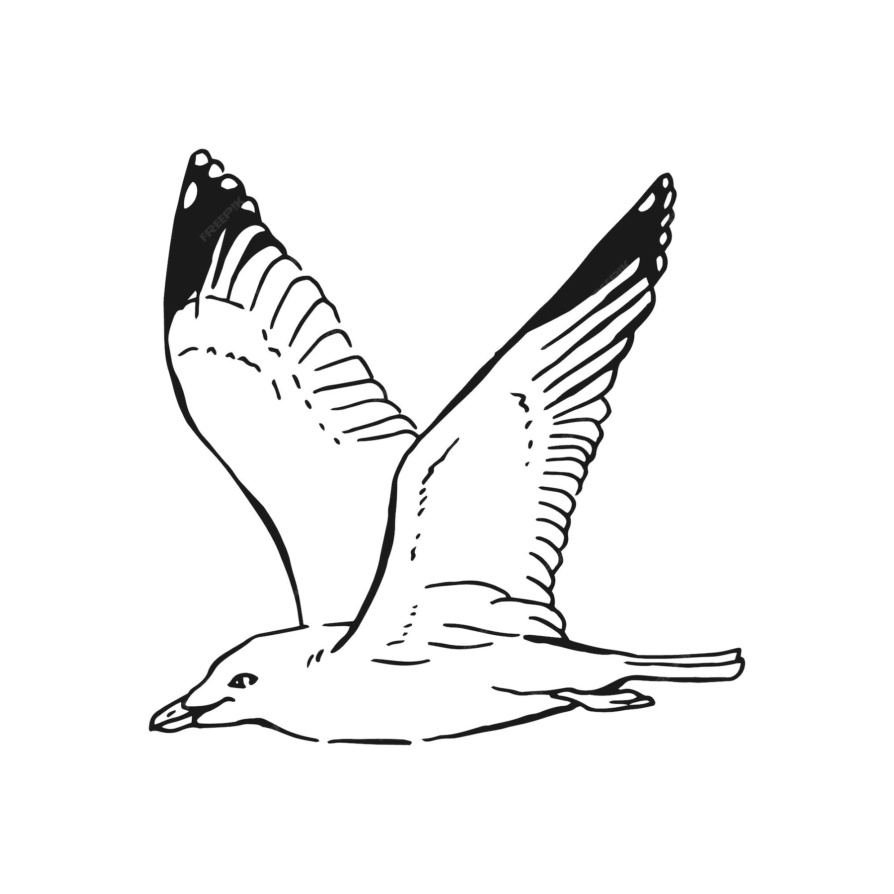 Premium Vector Sketch of flying seagulls. hand drawn illustration