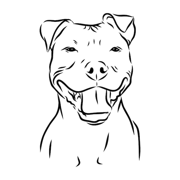 Premium Vector Sketch of funny smiling dog. vector illustration.