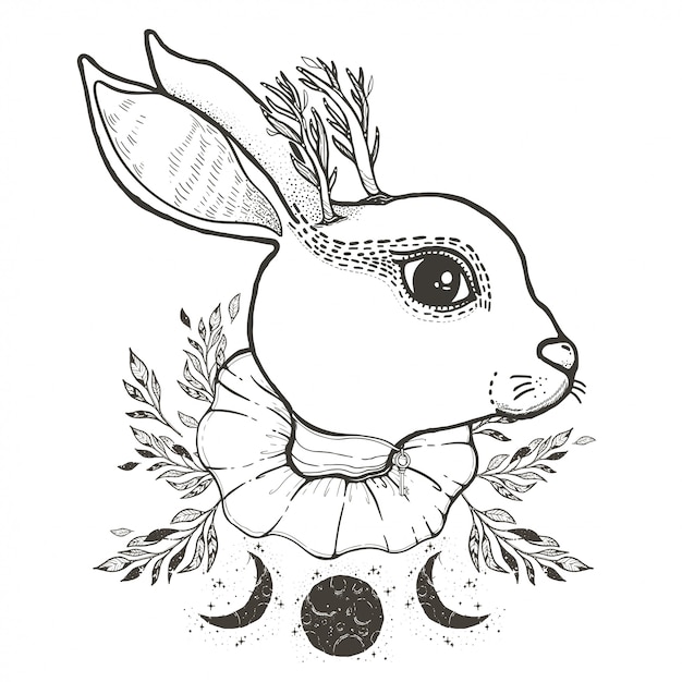 神秘的でオカルトとグラフィックイラストサーカスウサギをスケッチします プレミアムベクター