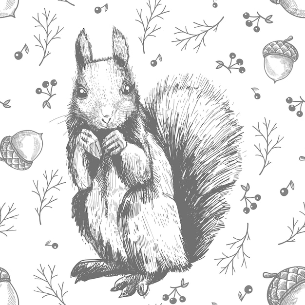 Premium Vector Sketch Line Art Drawing Of Squirrel Pattern