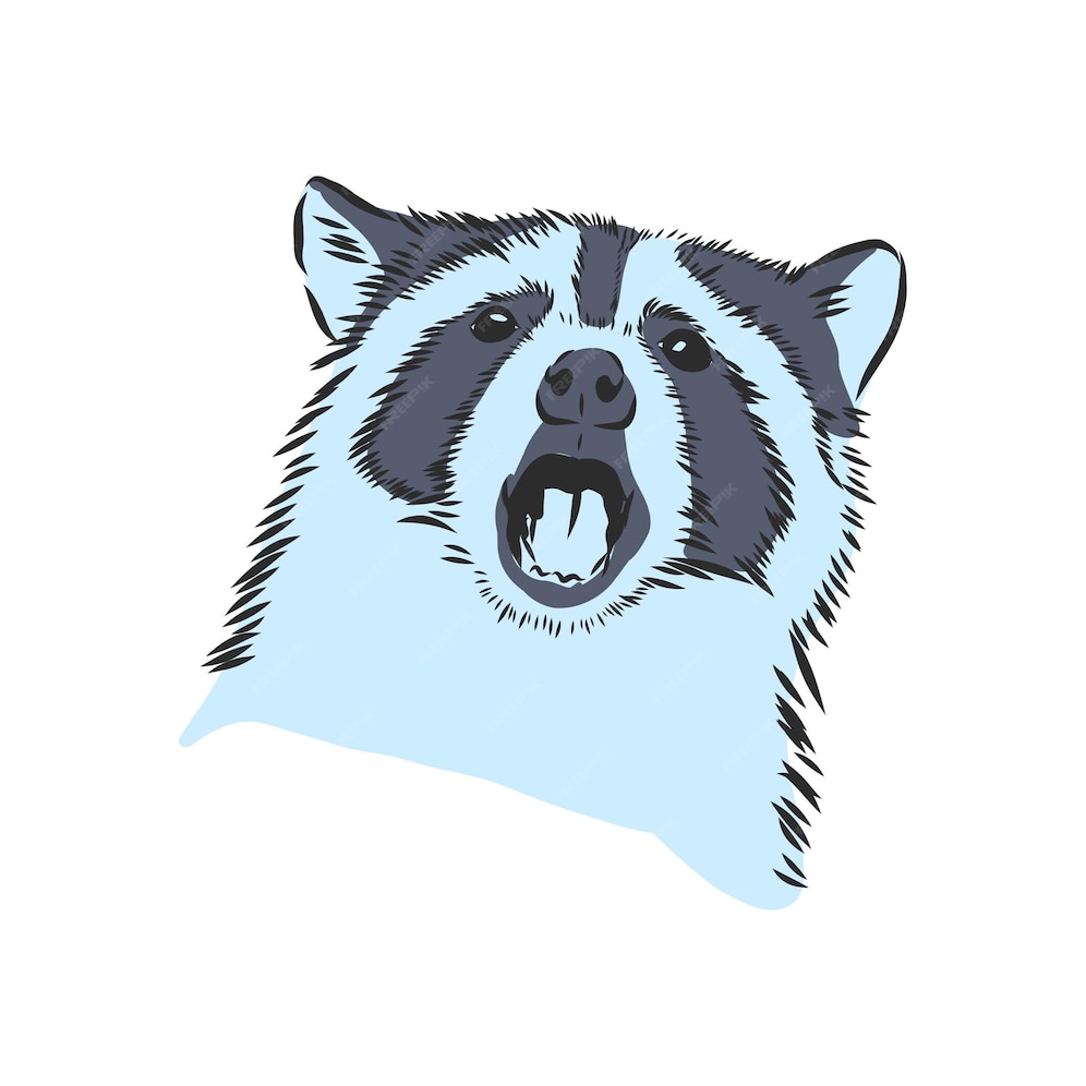 Premium Vector Sketch raccoon face hand drawn vector illustration in