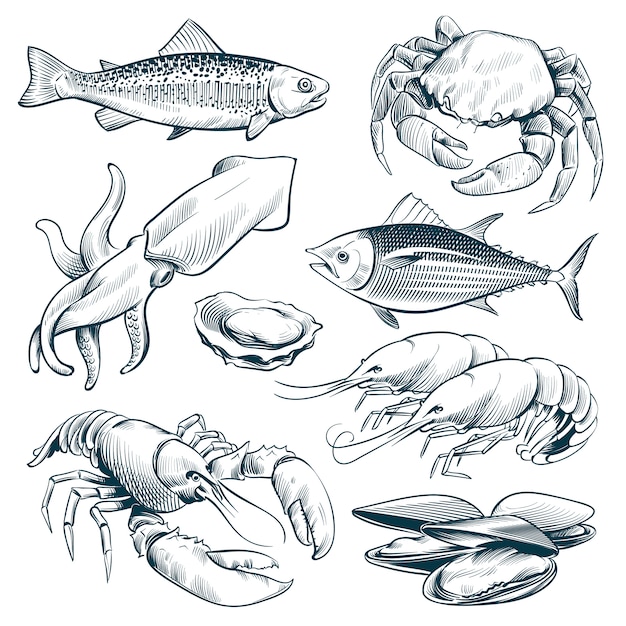 Sketch seafood. lobster shellfish fish shrimp. hand drawn seafoods meal vintage vector set isolated Premium Vector